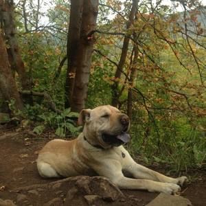 Meet your Posher, Kris